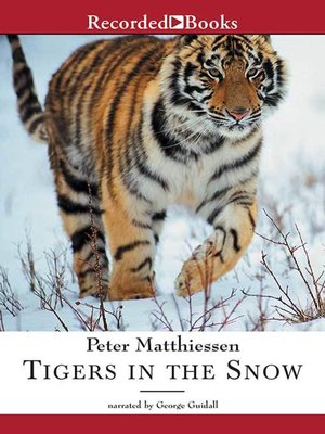 cover image of Tigers in the Snow